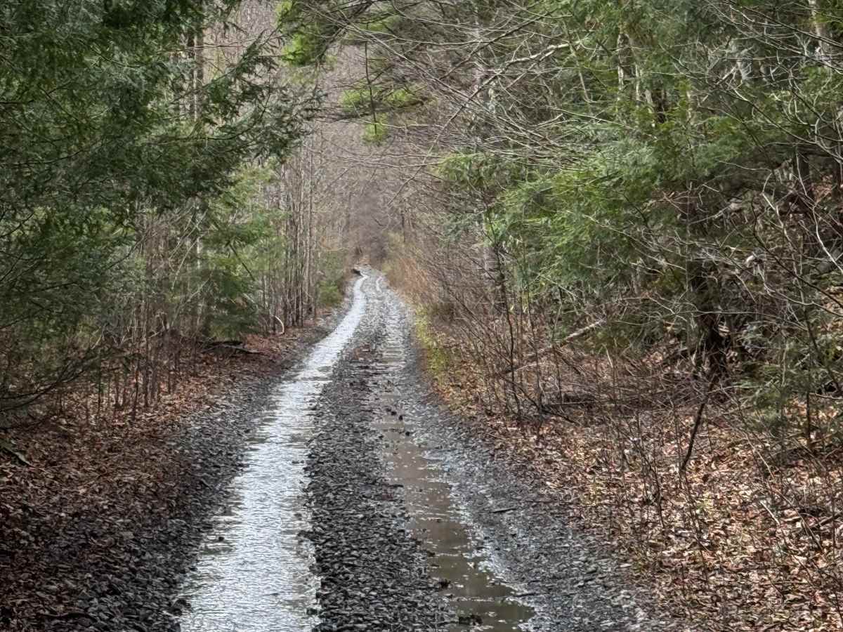 Hog Back Tunnel Trail photo 6