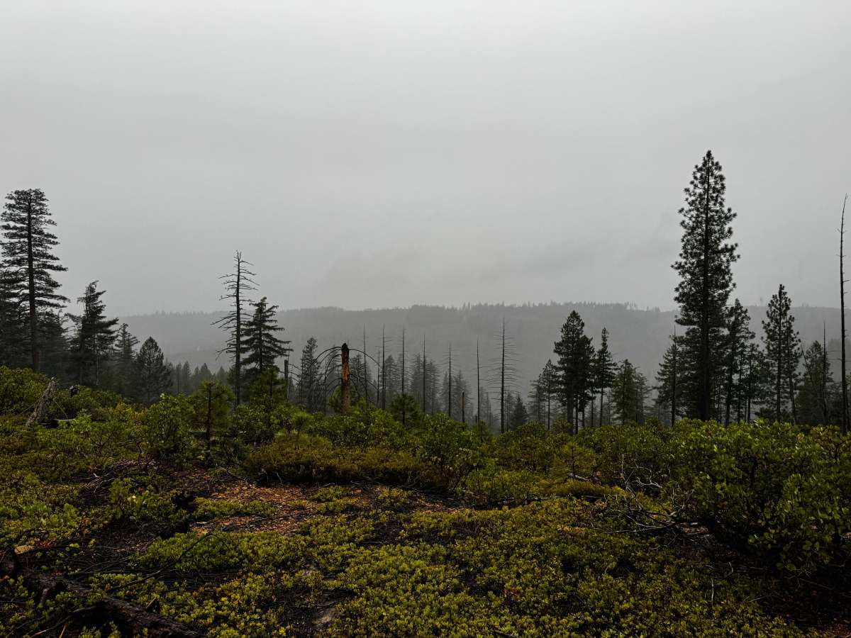 American Hill Trail Spur photo 2