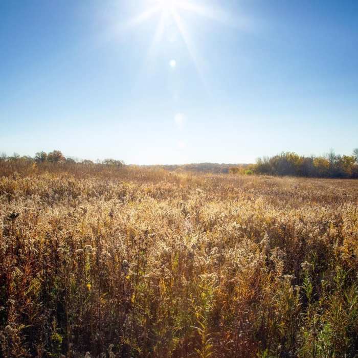 Near Root River Park Trail