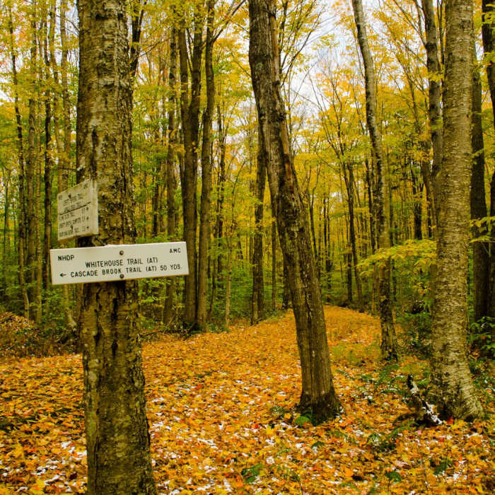 Near Mount Flume + Mount Liberty Loop Near Mount Flume + Mount Liberty Loop