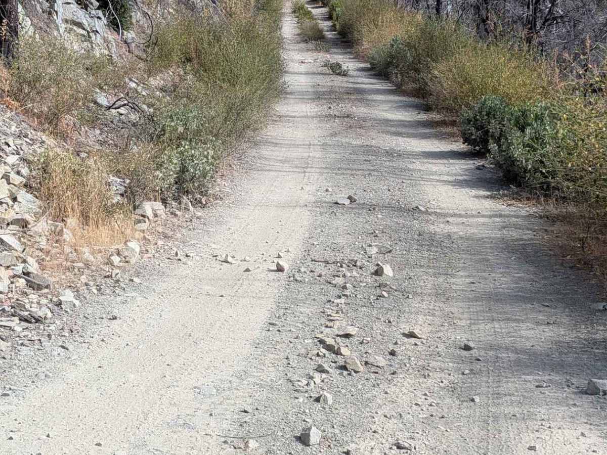 Little Creek Road - FS 32N16  photo 6