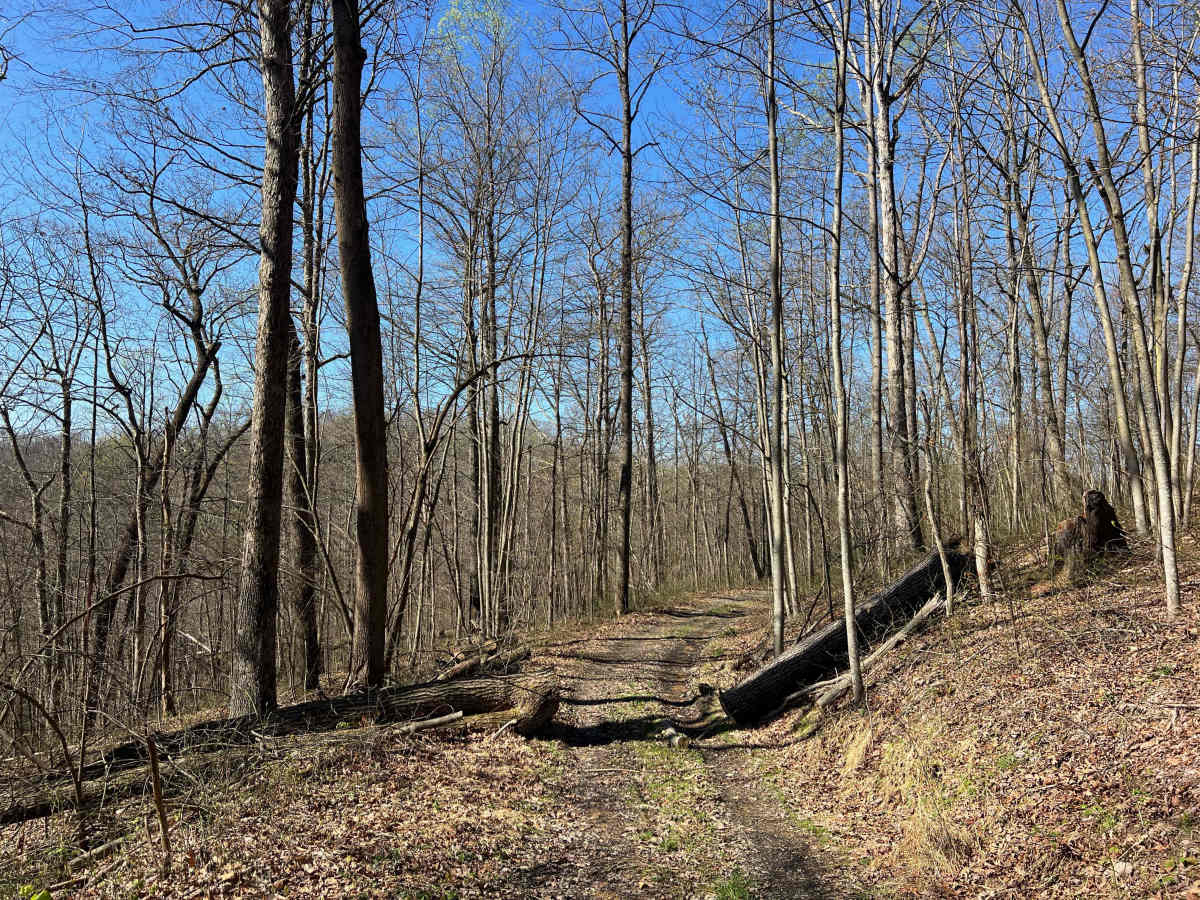 Q42 photo 4