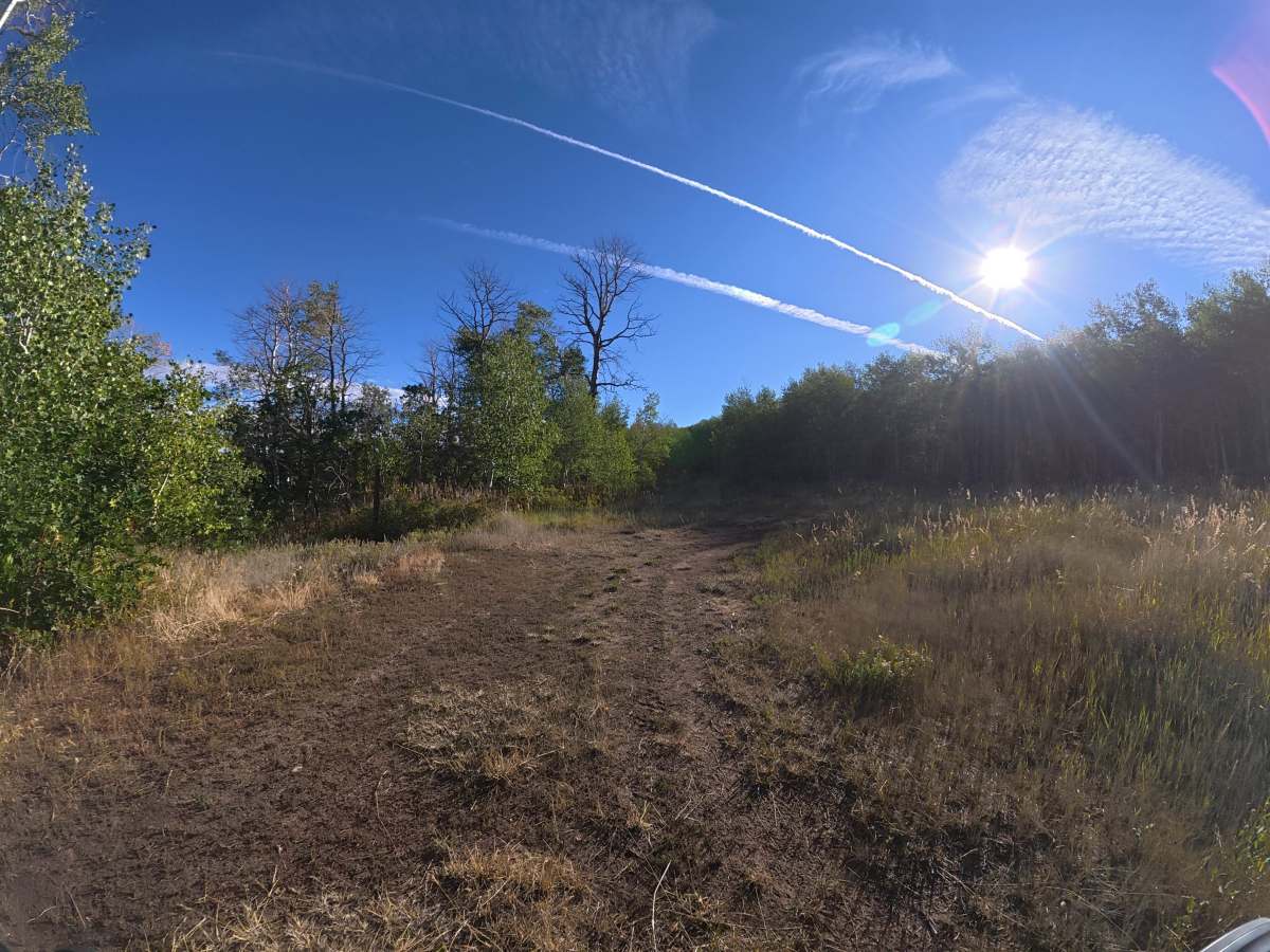 Mesa Creek Road trail photo