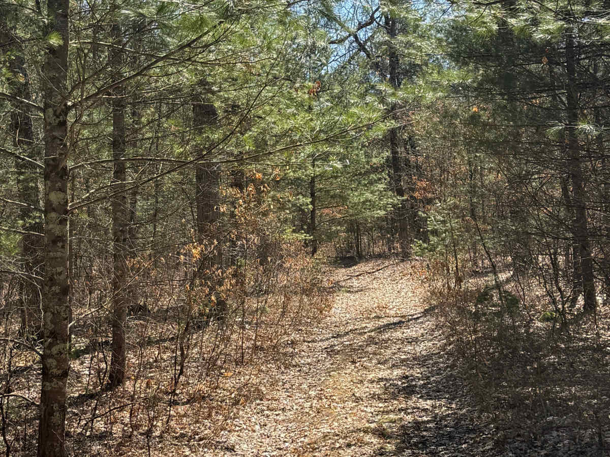 FS 5077 trail photo