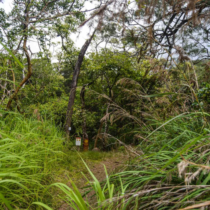 Near Kamananui Valley Road Near Kamananui Valley Road
