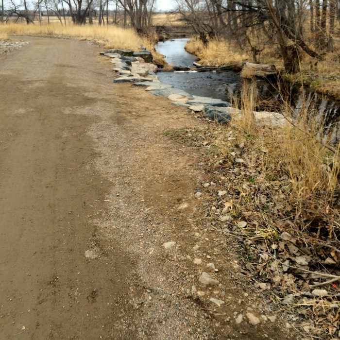 Near Coal Creek Trail