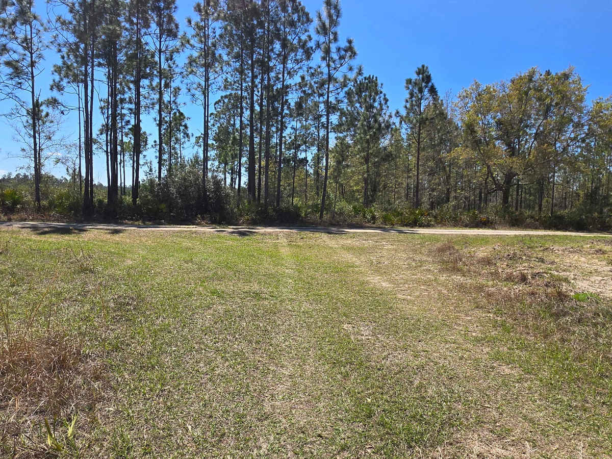 State Forest Road photo 4