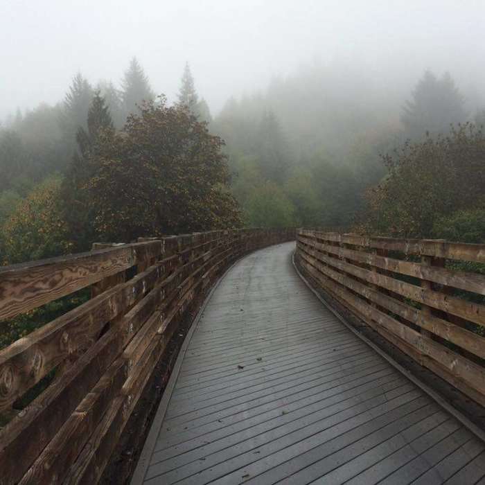 Foggy morning on the Buxton Trestle. Near Banks-Vernonia State Trail