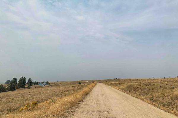 Ambrose Trail