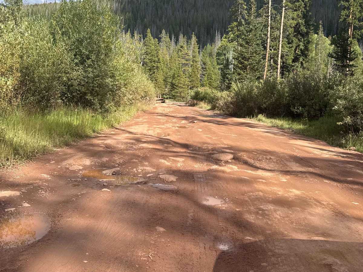 South Fork Piney - FS 701 photo 5