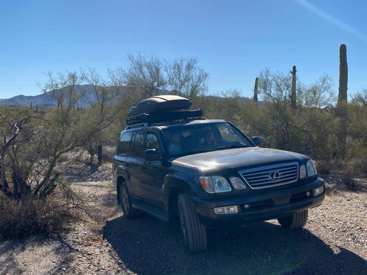 Sonoran Desert 8009 photo 6