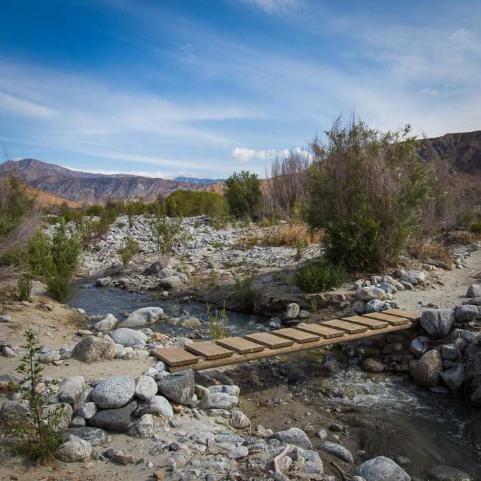 Near Canyon View Loop