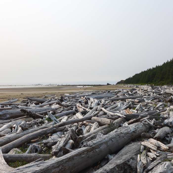 Near South Sand Point Trail