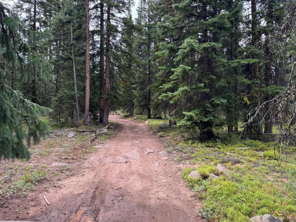 Moniger Road photo 5
