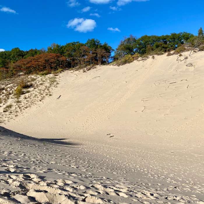 Dune blowout. So much sand! Near Mount Randall Loop
