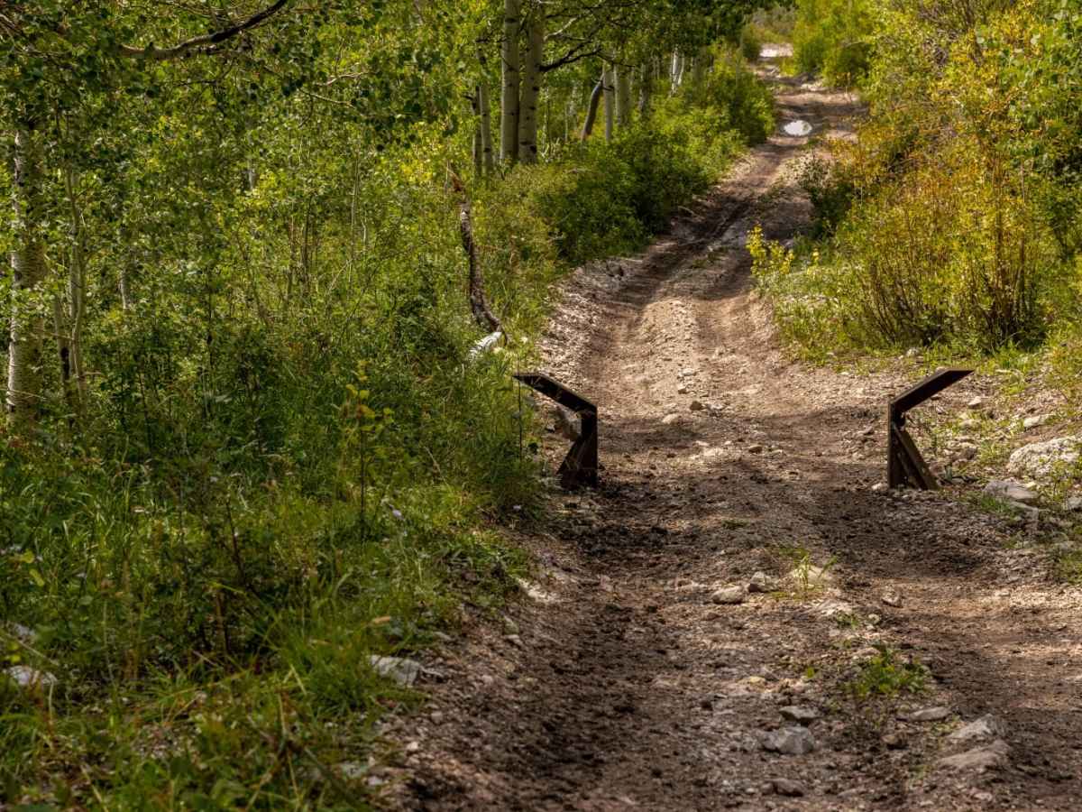 Pinchot Trail photo 6