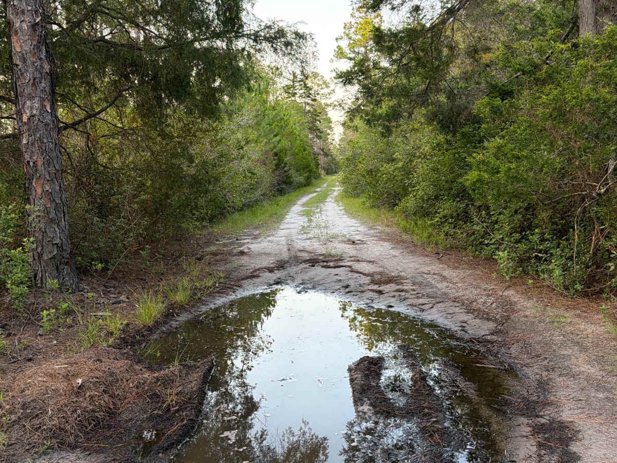 Trout Creek Road photo 3