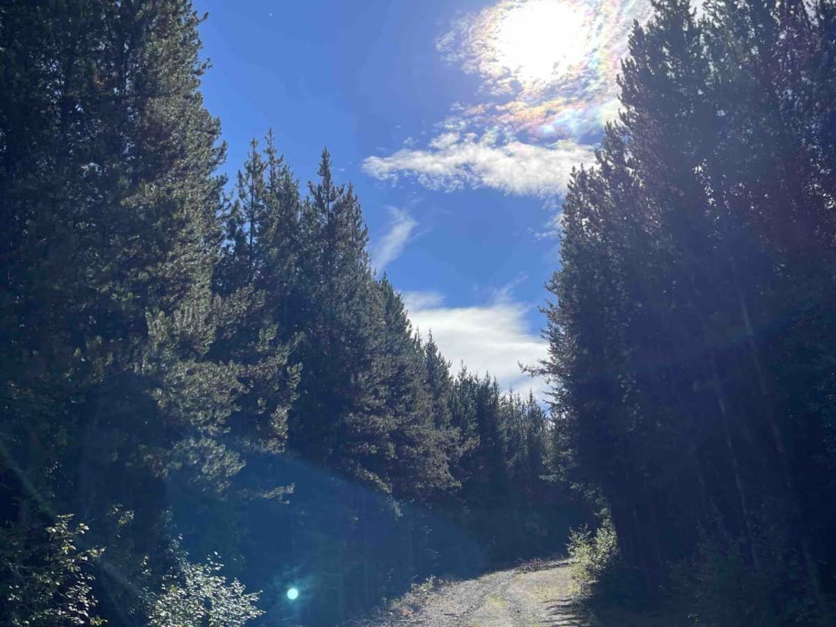 Heckman Creek Road photo 6