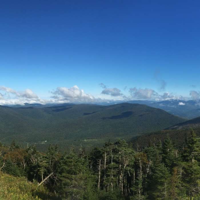 Near Blue Summit Trail