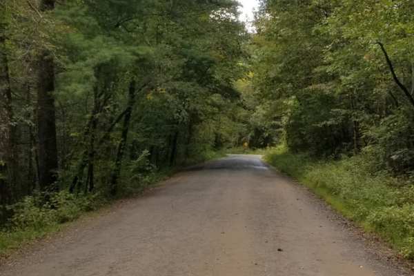 Enoree River Southside Trail System
