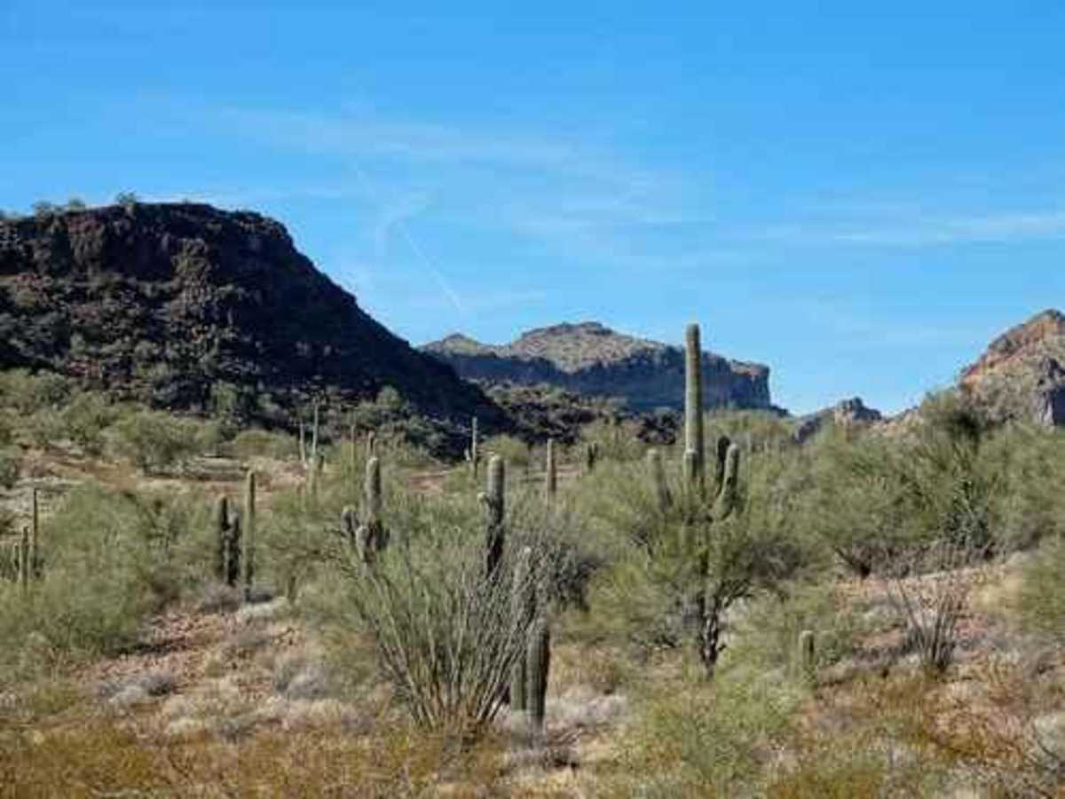 Planet Ranch to Alamo Road photo 2