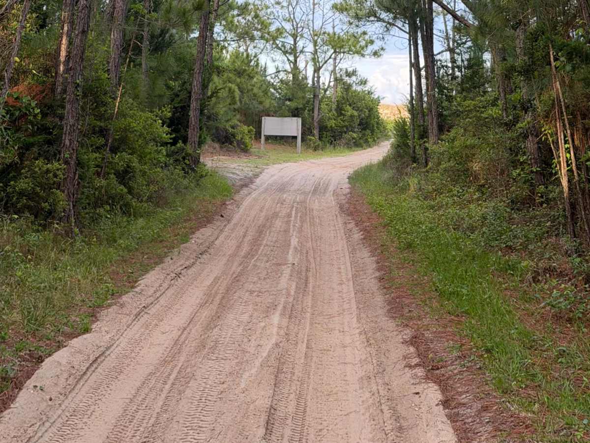 East Road photo 2