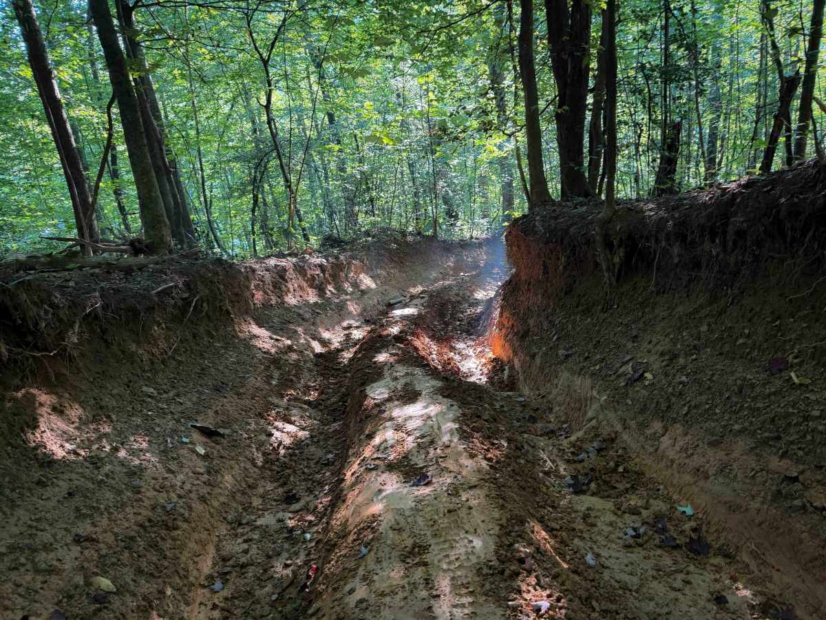 Ivydell Trail photo 4