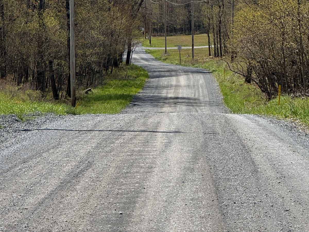 McGeorge Road photo 6