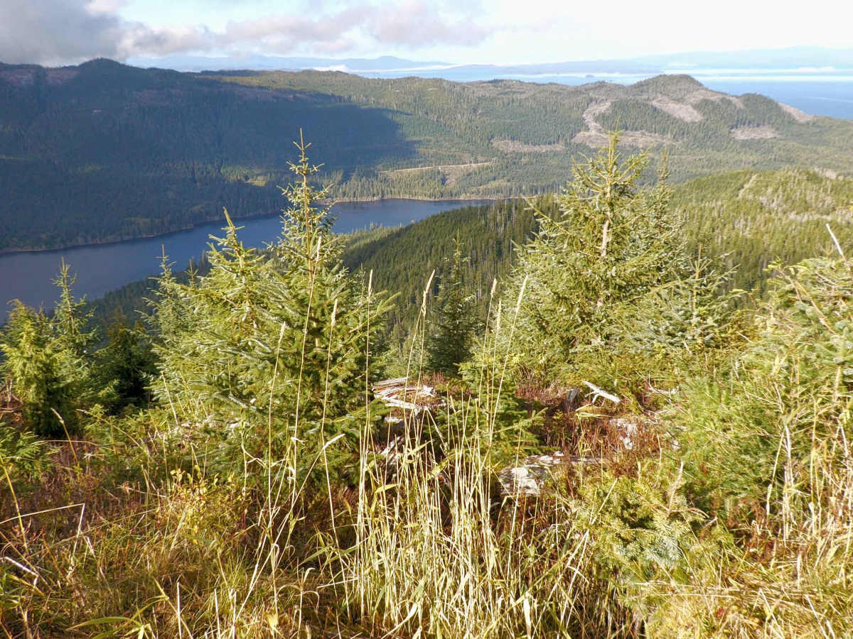 East Luck Lake Road - FS 3030110 photo 6