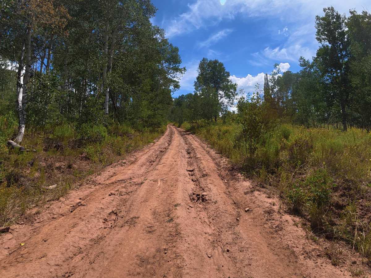 Fawn Creek Road photo 6