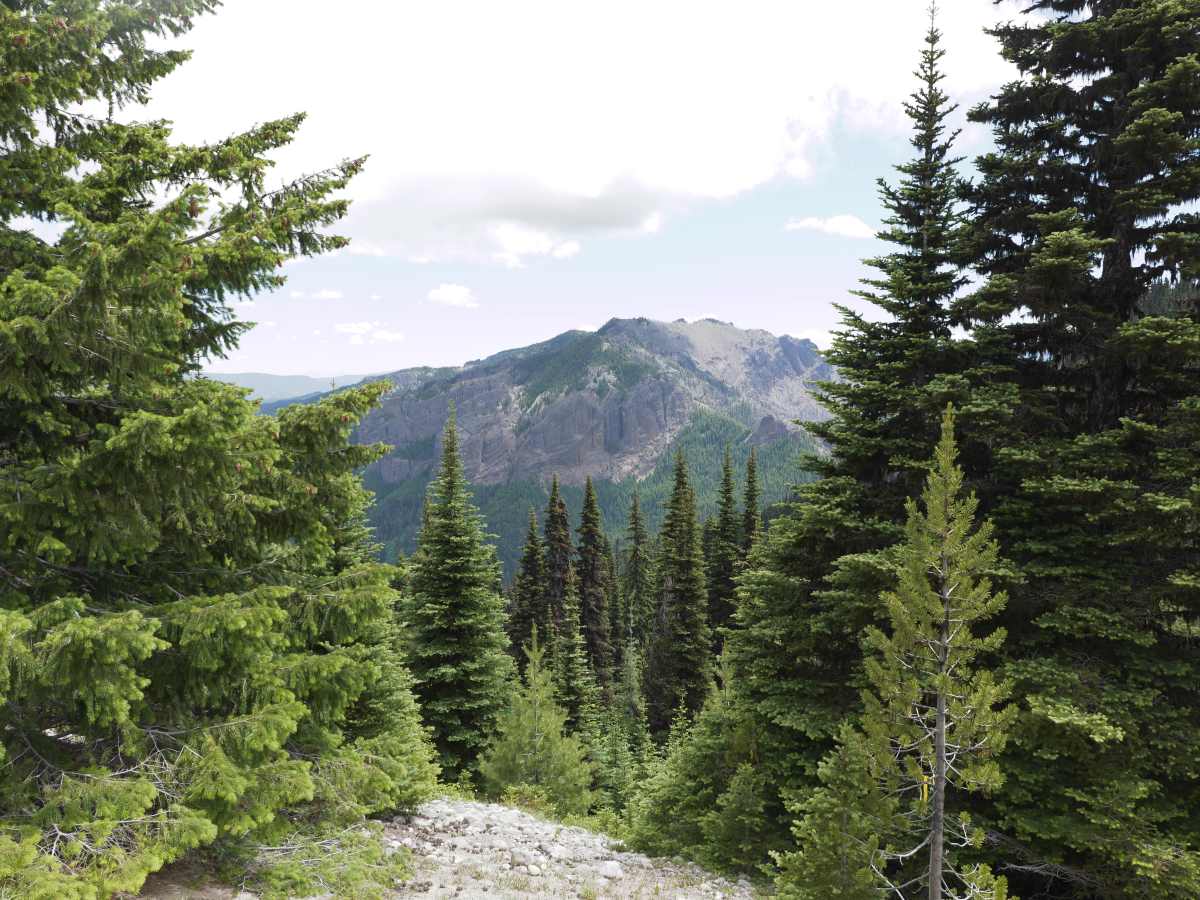 Raven's Roost photo 6