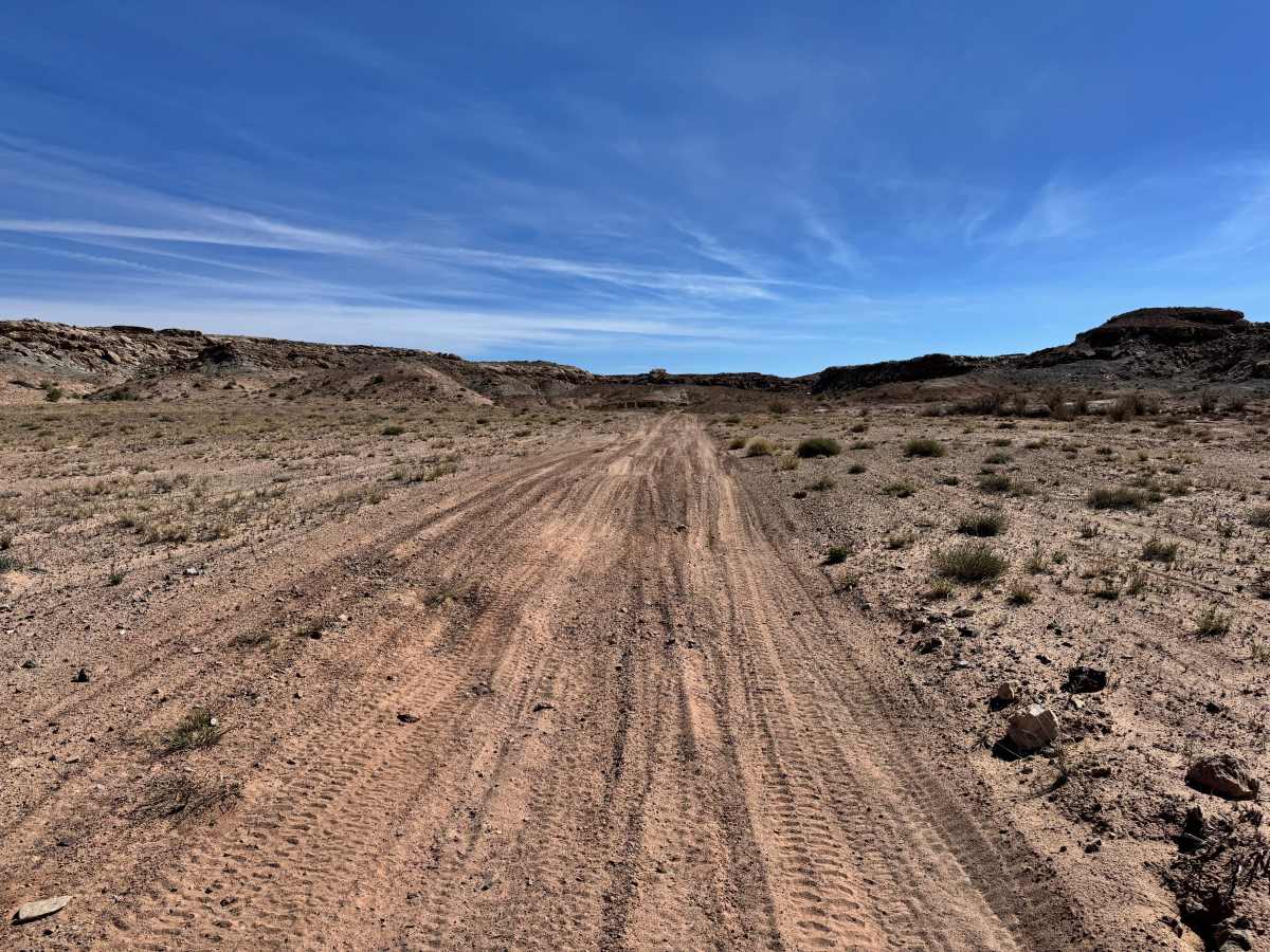 Lower Salt Wash photo 5