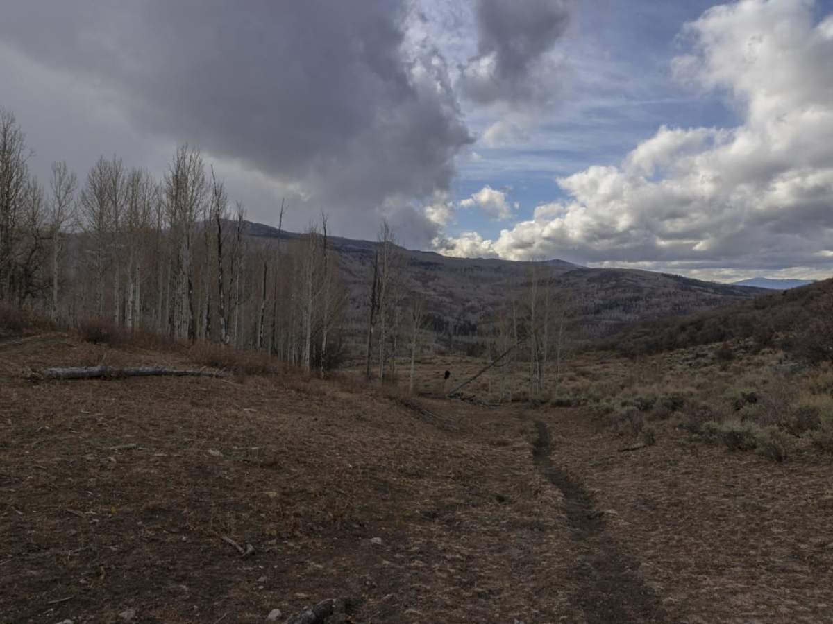 Oak Ridge Road Access Trail photo 3