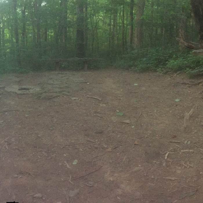 Near Sinks Trail