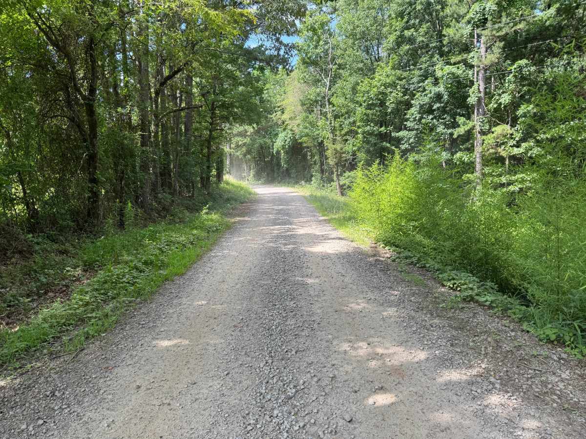 County Road 3841 photo 3