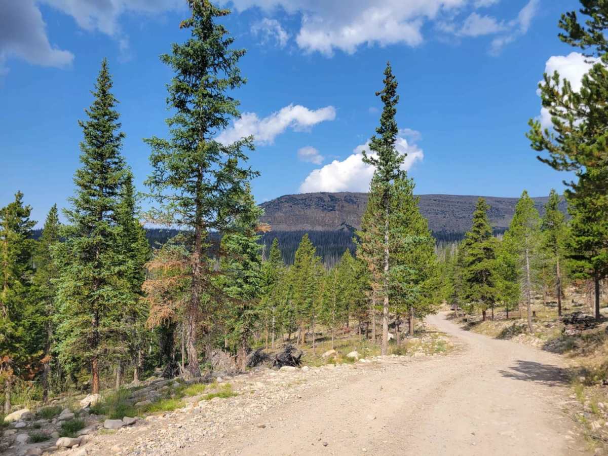 Washington Lake Trail trail photo