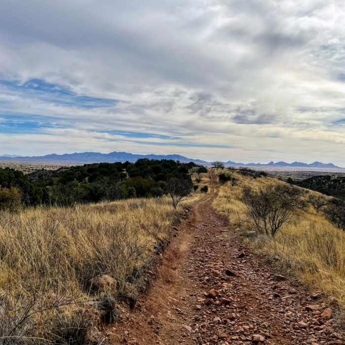 Near Sweetwater Spring Loop