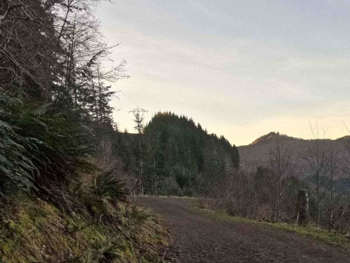 Simmons Ridge Road photo 4