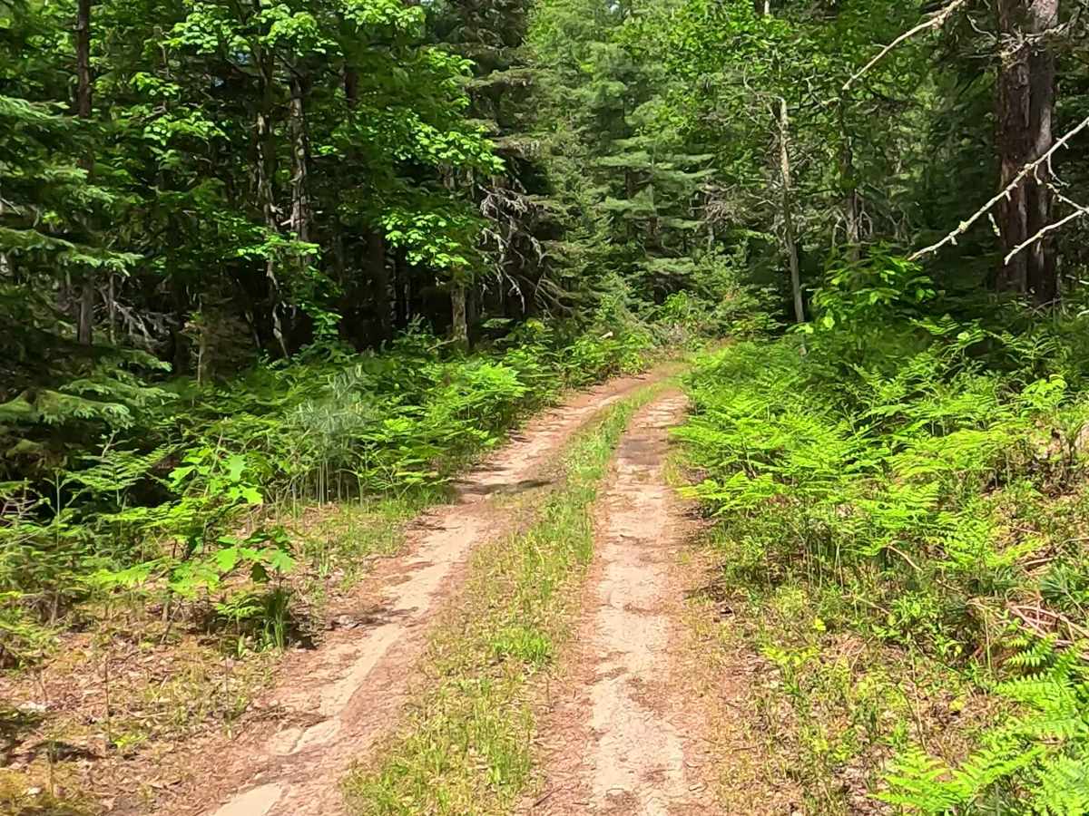 FS 2296 photo 5