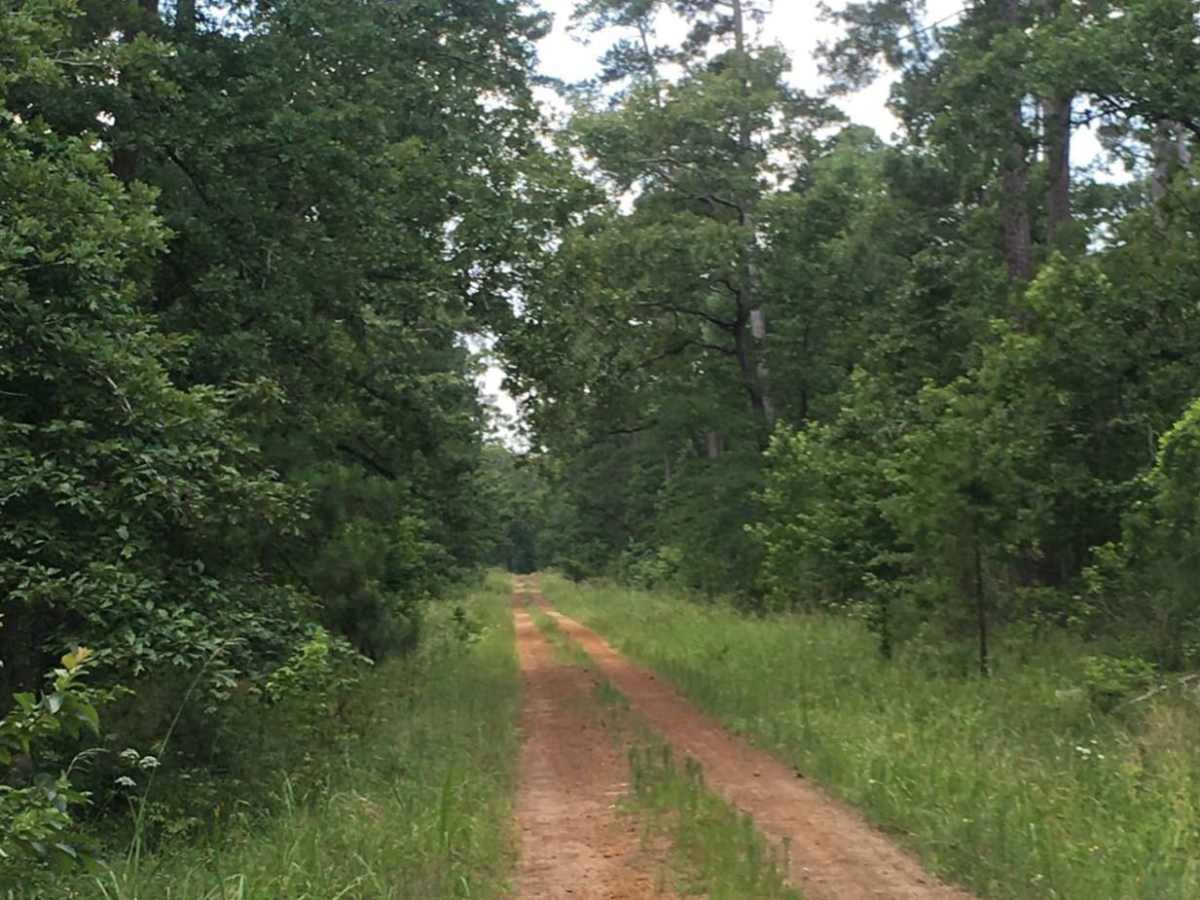 Texas Traverse (Leg 1) photo 4