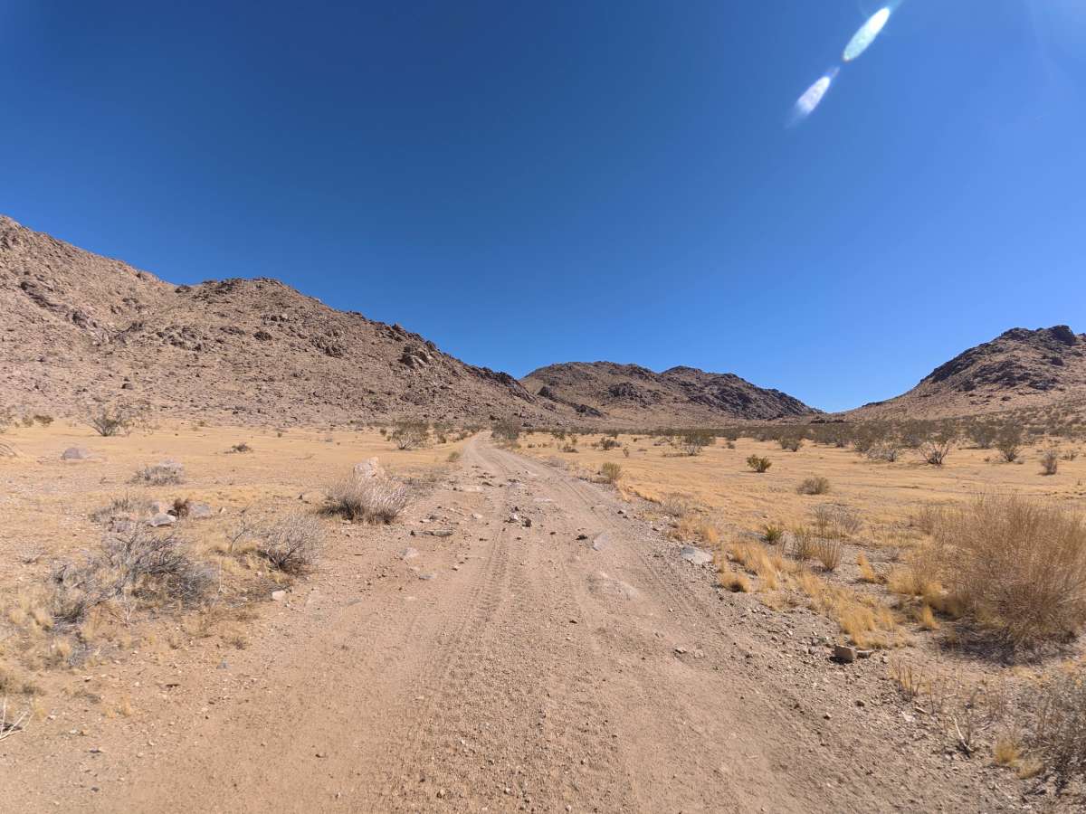 BLM SV2673 photo 4