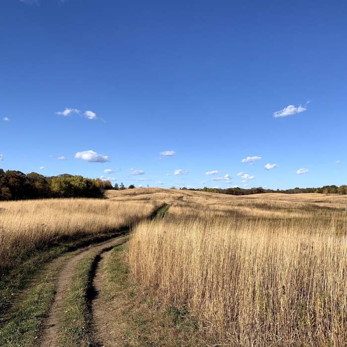 Vistas Near Minnregs Lake Loop