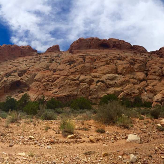 Views in the canyon wash of upper muley twist access road. 4WD/AWD higher clearance vehicles only. Near Upper Muley Twist Canyon Access Road