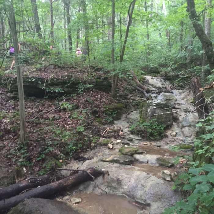 Near Jean Shorts Special