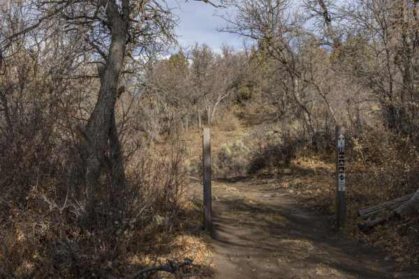 Oak Ridge Road Access Trail