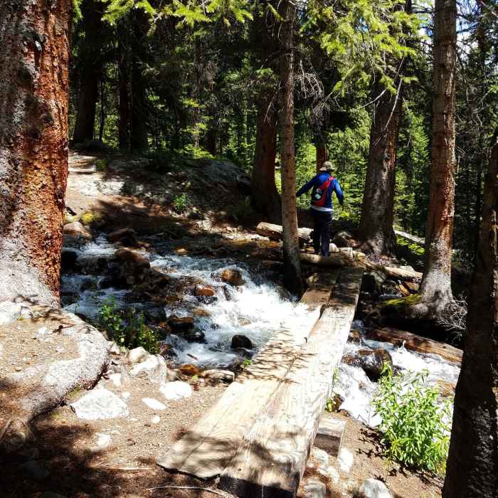 Near Hassell Lake Trail