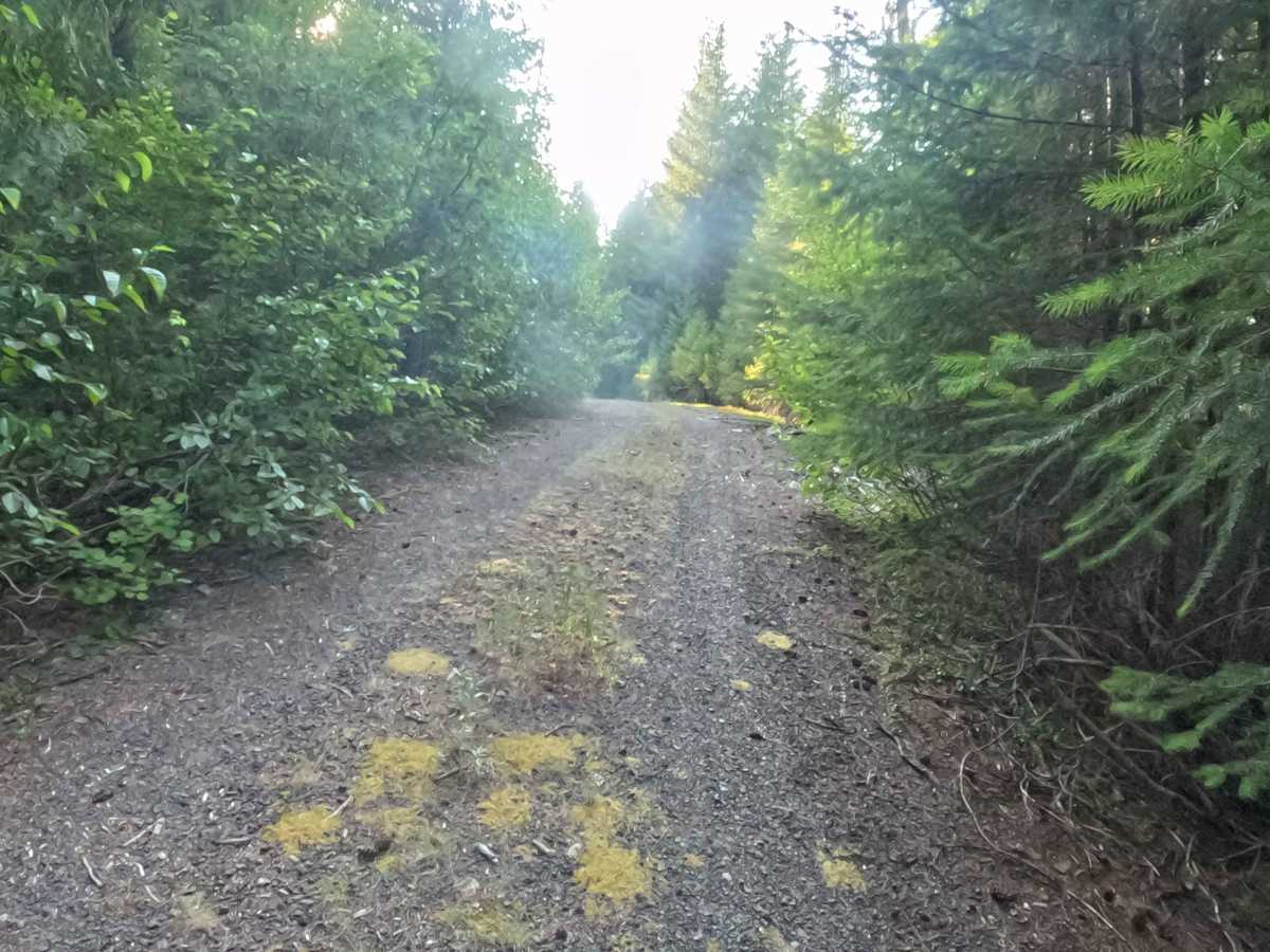 Bills Road - FS 1100855 photo 5