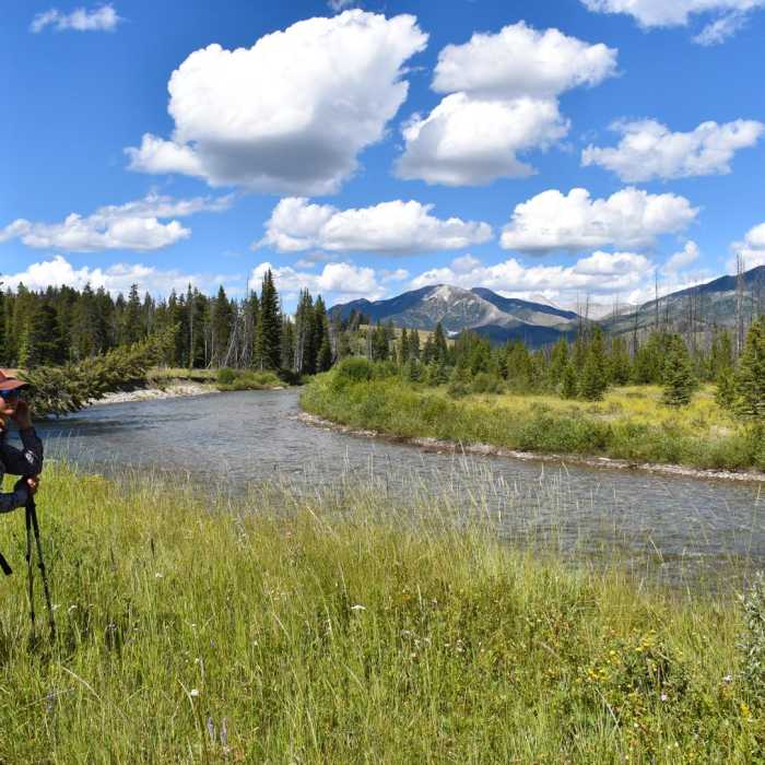 Near The Chinese Wall Loop