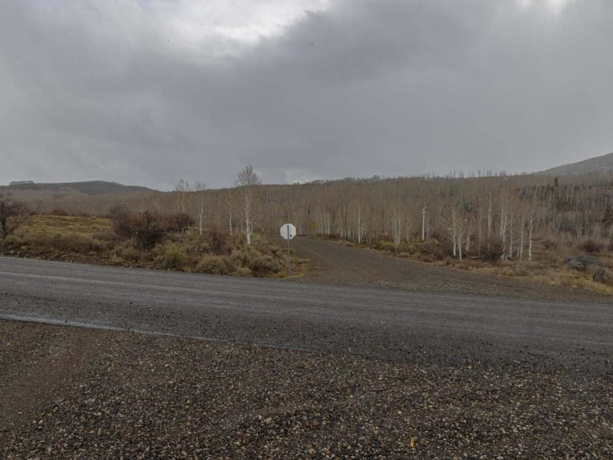 Sheep Creek Road photo 4