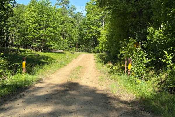 Dewdrop Trail - FS 263